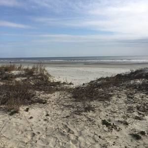 Meet your Posher, Janice